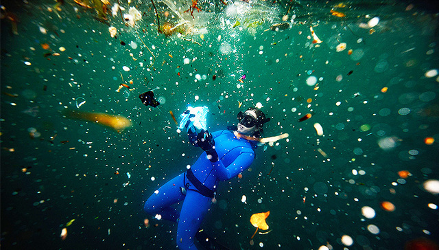 【图集】海洋里的塑料：大量塑料污染已形成岩石，漂浮塑料95%大于2.5厘米