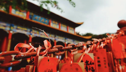 当一座城市打算当网红