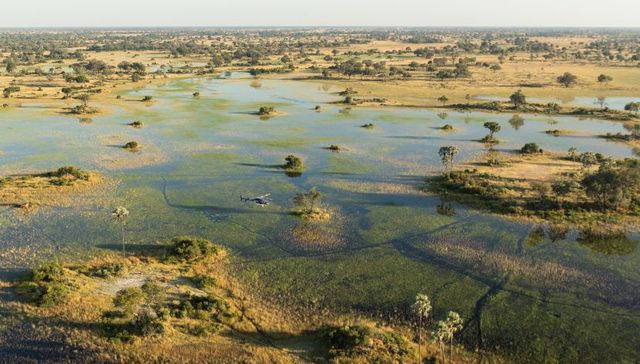 Club Med发布全新城市度假产品线“白日方舟”，洲际酒店集团与中免集团实现会员礼遇互通 丨一周旅行指南
