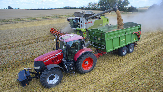 北半球极端天气影响优质小麦产量，全球粮食供应危机加剧