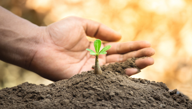 IPO雷达｜超七成收入来自一家客户，宝众宝达正面临植保行业“去库存”风险