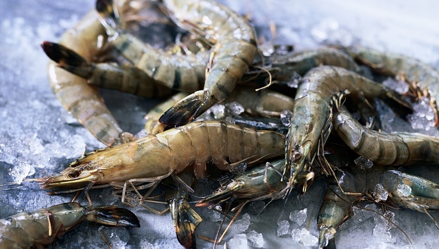 养虾大王渤海水产营收稳步增长，却终止挂牌新三板