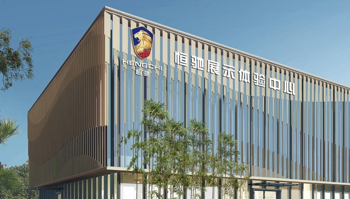 许家印,恒驰汽车,纽顿集团,战略投资,恒大汽车