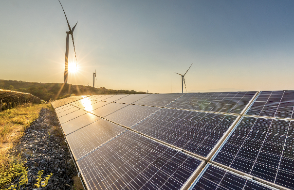 新能源业务拉胯了，特变电工半年净利增速降114个百分点