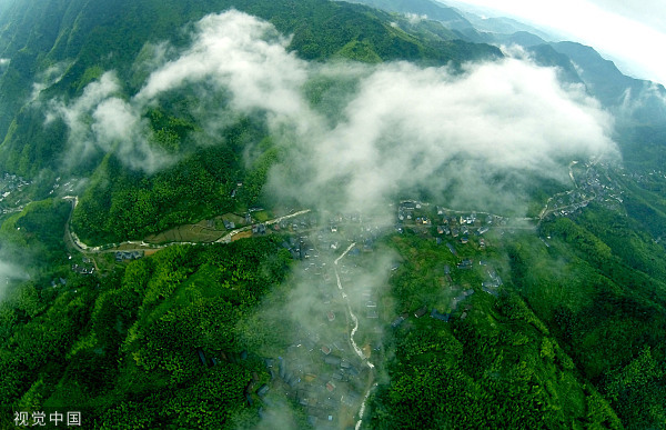 寻访衢州碳账户，一场碳数据助推绿金改革的地方转型实践
