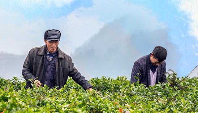 世界人民,世界大同,联播+,跟着习主席看世界·天下一家,保护自然,协和万邦,中华民族,人与自然关系,