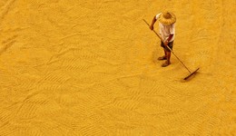 農(nóng)民進(jìn)城落戶后退出“三權(quán)”該如何補(bǔ)償？農(nóng)業(yè)農(nóng)村部：中央不宜出政策