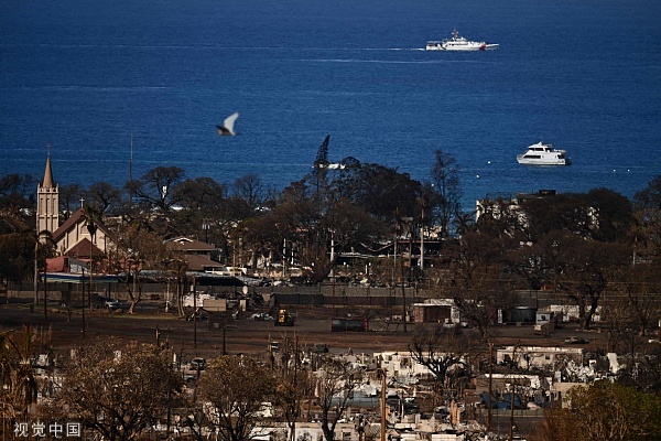 【全球ESG连麦】夏威夷火灾背后的隐忧：雨林如何变成“火药桶”？