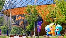 乒羽等亞運熱門項目開票，多項目場次不可選座