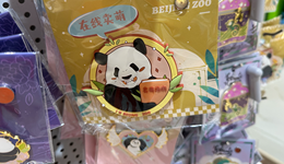 动物明星创意产品受追捧，景区做文创越来越“卷”了