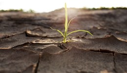 地方新聞精選 | 甘肅干旱13.64萬人飲水受臨時性影響 遼寧把保持人口規(guī)模作為緊要任務(wù)