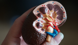 资本、巨头纷纷入局，70亿注入肾病管理，千亿市场迎来战点