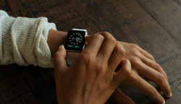 智能手表：华米稳健、华为凶猛