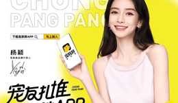 背靠步步高、關(guān)聯(lián)賈乃亮、Baby代言，寵胖胖如何撐起15億估值？