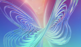 金蝶迷路“云”丛中