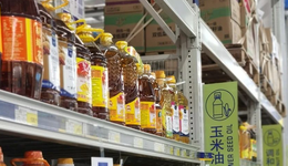 失速的金龍魚，還能翻身嗎？