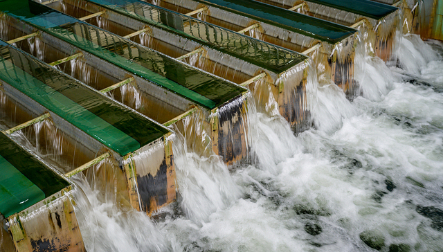 盘前机会前瞻|三部门联合发力，该领域或迎来大发展，这几家公司行业规模领先（附概念股）