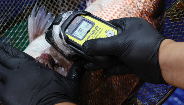 囤加碘盐防不了核辐射