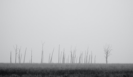 文化破壞者并非文盲，而是思想狹隘的有識(shí)者 | 一周新書(shū)推薦