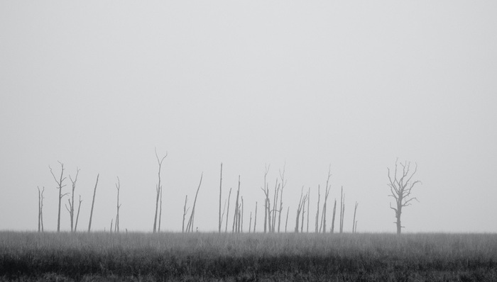 新书,书单,书单控