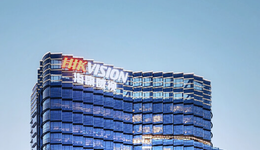 交出上市13年“最差成績(jī)單”，?？低曈|到“天花板”了？