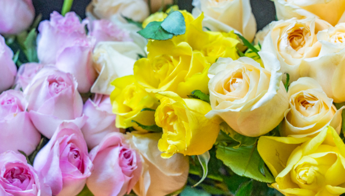 鲜花电商,价格战,抖音,即时零售,