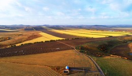 東北黑土區(qū)侵蝕溝達66.67萬條：近3/4分布在耕地上，影響糧食安全
