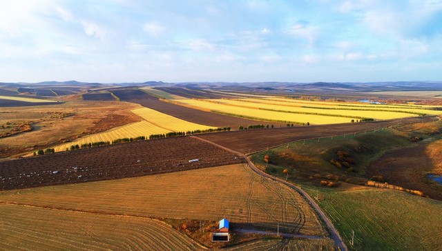 东北黑土区侵蚀沟达66.67万条：近3/4分布在耕地上，影响粮食安全