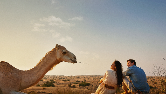 你好，迪拜｜畅游迪拜①