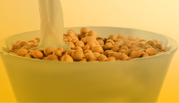 维维股份的里子与面子