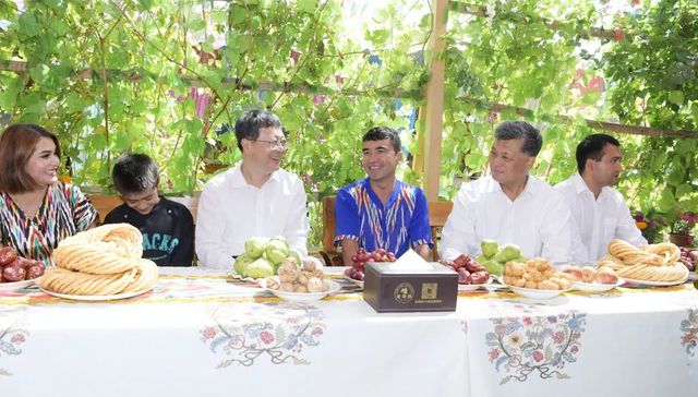 陈吉宁,实操训练,共同体意识,莎车县,医疗人才,十二木卡姆,组团式,就业去向,泽普县,农家乐