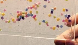 當(dāng)代流麻圈，人類的腦細(xì)胞活不下去