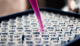 倒在市场热潮中，合成生物巨头的鏖战二十年