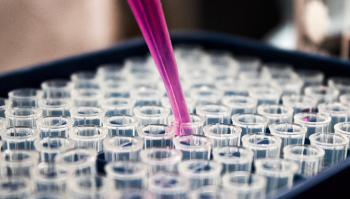 合成生物,研发投入,破产,