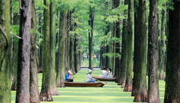 最火暑期18.39亿人次出游，有哪些旅游新风向？