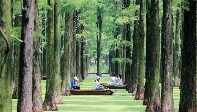 暑期；旅游；消费