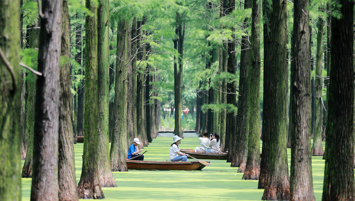 暑期；旅游；消费