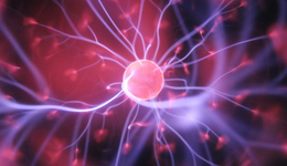 被科学界评为颠覆性创新，这一技术究竟能带来多大市场增量？