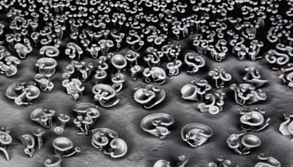 小纳米有大作为，纳琳威入围2023上海市标准化试点项目