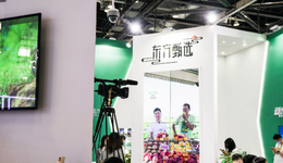 从TVB看东方甄选入淘：吃完流量噱头，有没有生意甜头？