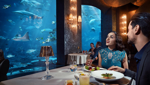 迪拜美食地图：米其林、古早味、海底餐厅，闯入美食的“一千零一夜”｜畅游迪拜④