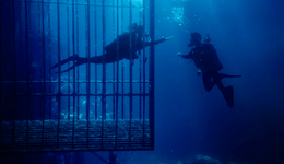 十年电影市场：一部观众价值观进化史