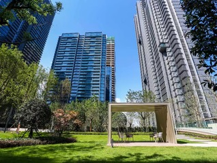 【独家】湖北旧改龙头福星股份子公司被代理商起诉拖欠3300万佣金