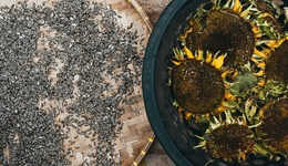 原料又涨价，“瓜子大王”洽洽为什么还不换供应商