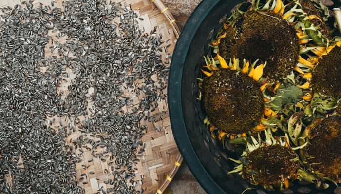 休闲食品,中国市场,消费趋势,洽洽食品,财报,业绩,原材料