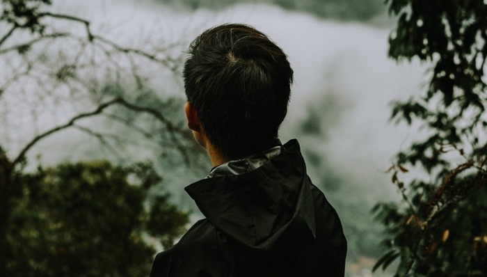 短视频,抖音,快手,网红经济,秀才,一笑倾城,秀才