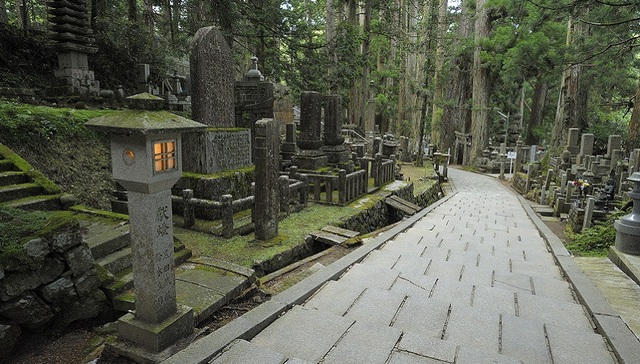 福成股份“萝卜章”事件升级，买来的殡葬子公司涉嫌非吸被起诉