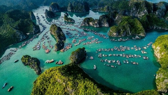 招商维京游轮推出全新出境游航线，发现别样的越南和中国香港丨文旅快报