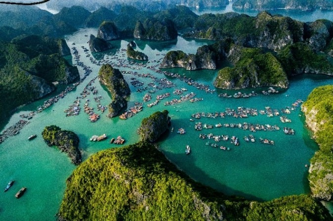 招商维京游轮推出全新出境游航线，发现别样的越南和中国香港丨文旅快报