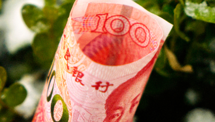 贵州茅台,比亚迪,分红